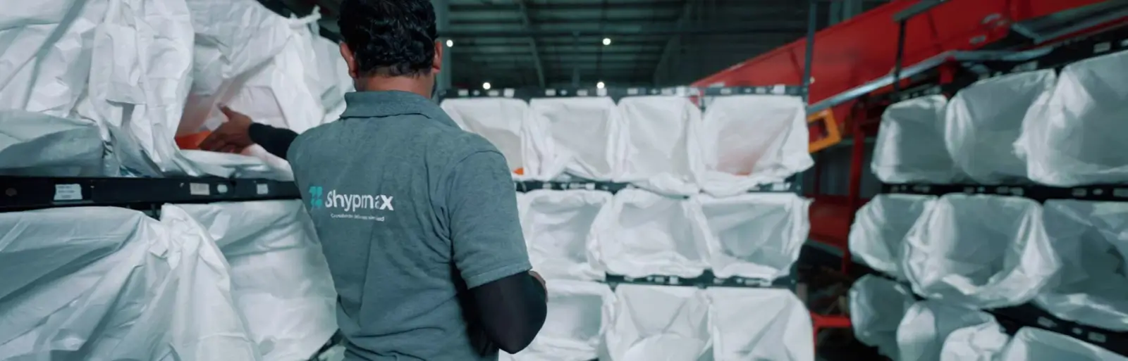 Put to Light & Put to Wall