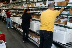 Increase Work Efficiency by 136%